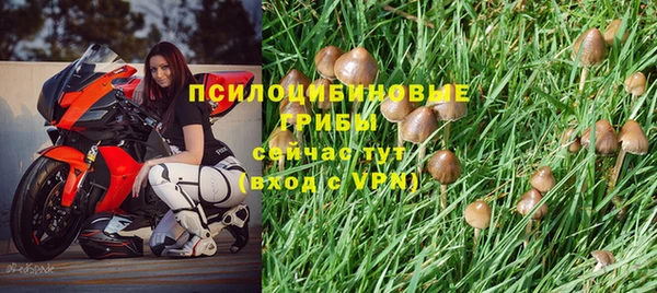 мяу мяу мука Балахна