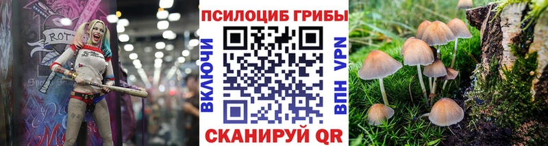 Галлюциногенные грибы мицелий Кыштым